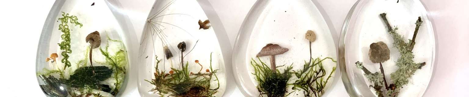 Klicken um die Schaltflächen zu zeigen oder zu verbergen